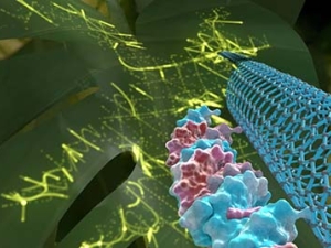graphic showing DNA, nanotube and leaf